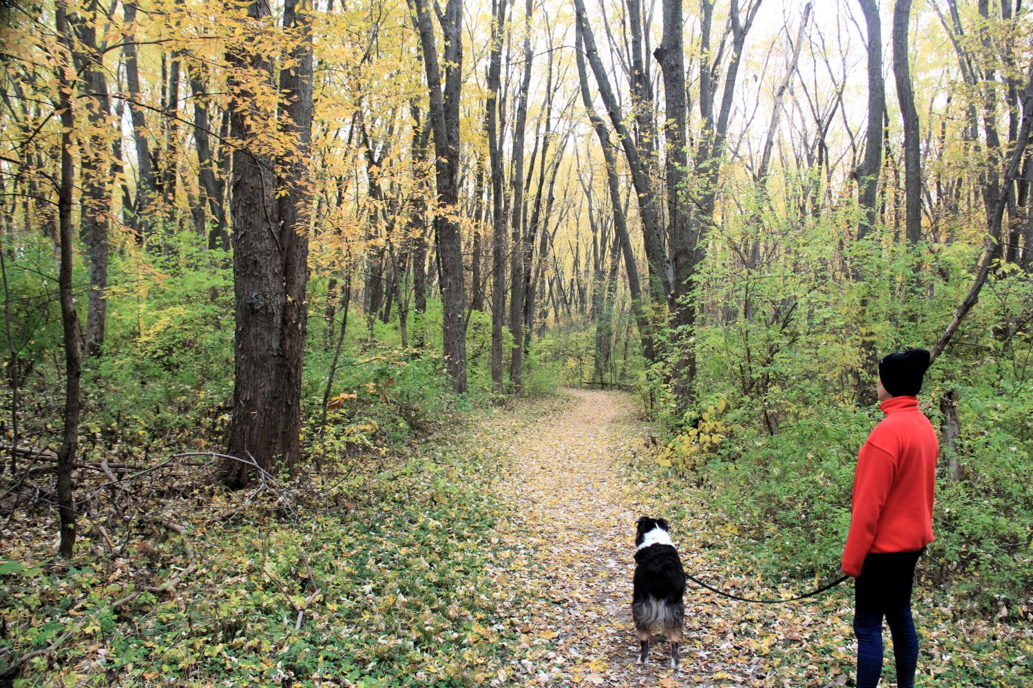 Rock Cut State Park 